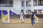 SBM_003172