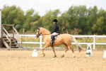 SBM_012218