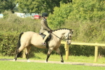 SBM_67383