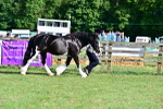 SBM_10099