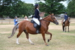 WJ7_0564