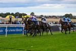 Race 7 5.20pm Hurn Handicap (Div I) portfolio