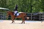 WJ6_9882