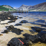 Loch Etive