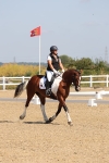 SBM_003397
