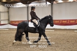 BPP_8690