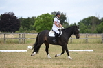 WJ6_0652