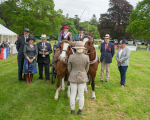 awards -154