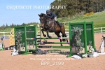 BPP_2199