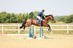 SBM_000951
