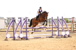 SBM_001462