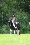 WJ7_2698