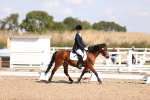 SBM_03515