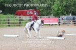 BPP_9956