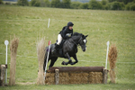 BVHT 140517  NXC -231