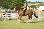 SBM_09674