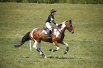 BVHT 140517  IXC -306
