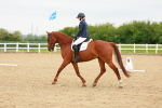 SBM_005622
