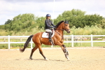 SBM_005715