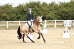 SBM_009909