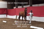 BPP_1210