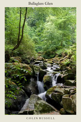Summer in Ballaglass Glen. A great place to be at any time of the year.