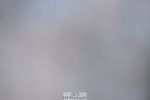 250125-090458-00019