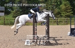 CLASS 3 Senior British Novice/ 90cm Open portfolio