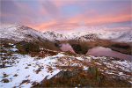 Haweswater Pinks