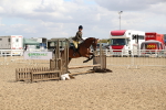 SBM_04230