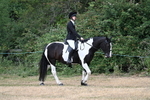 WJ7_0841