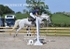 BPP_8231