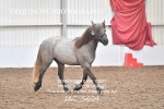 JAC_5694