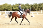 SBM_009368