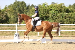 SBM_007515