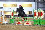 SBM_003196