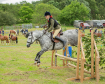 Dunblane show-608