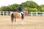 SBM_006470