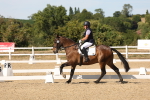 SBM_003767