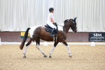 SBM_000261