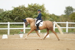 SBM_018491