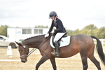 SBM_002484