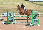 BPP_6115