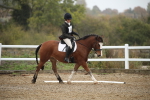 SBM_001379