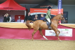 SBM_09628