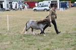 WJ6_5418