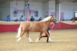 SBM_16665