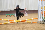 SBM_001897