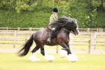 SBM_06227