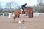 Cls 0 + 1, Clear Round, British Novice and 90cm portfolio